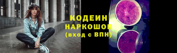скорость Ладушкин
